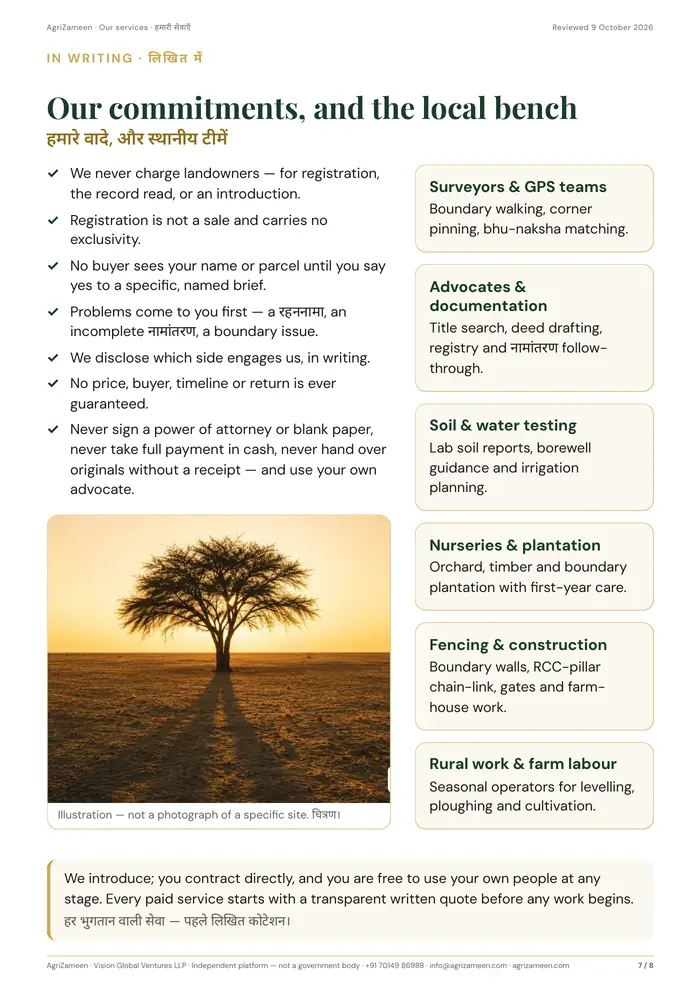 Our services — page 7 of 8