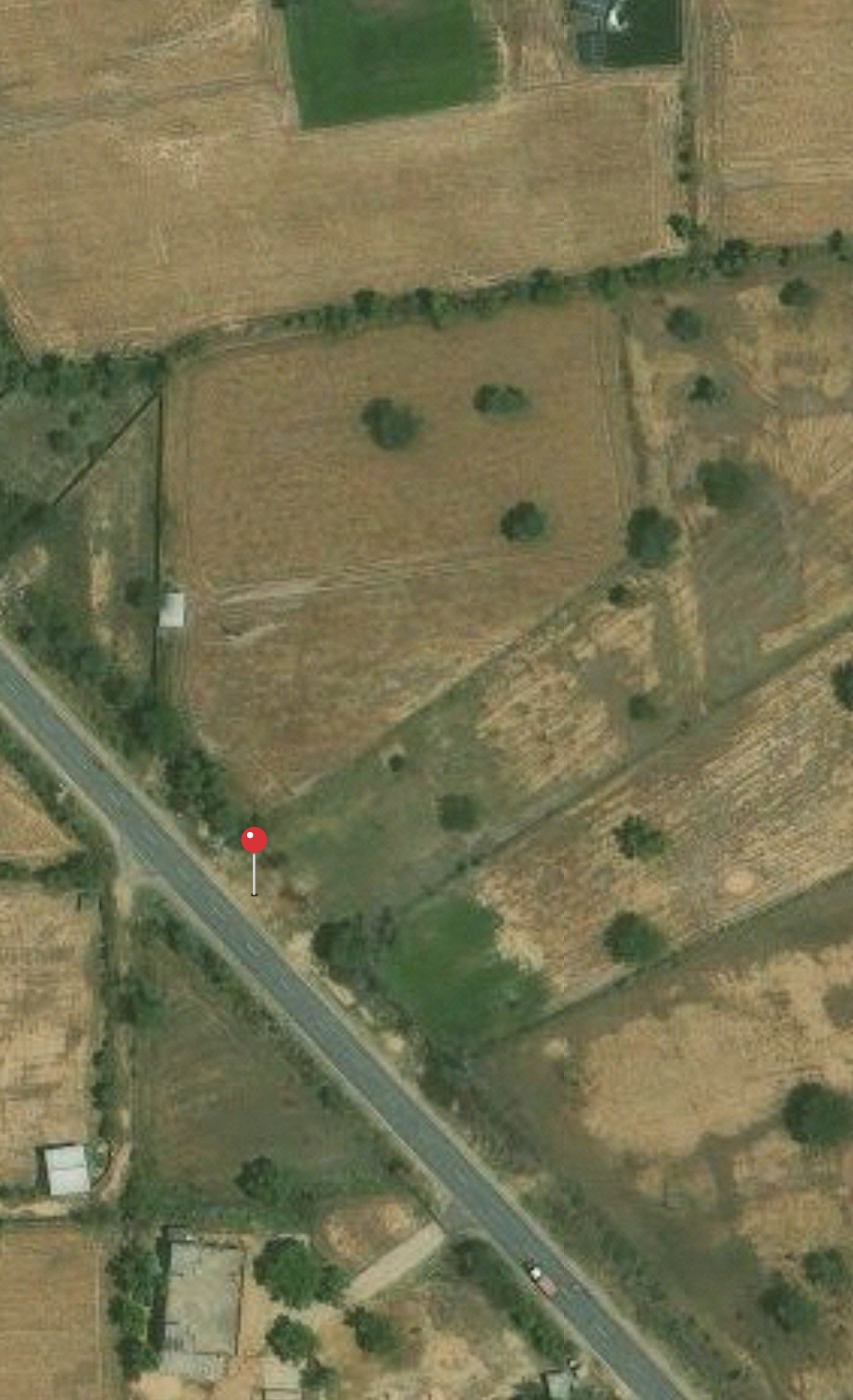 3 Bigha Agricultural Land for Sale in Akodha, Rajasthan — photograph 1