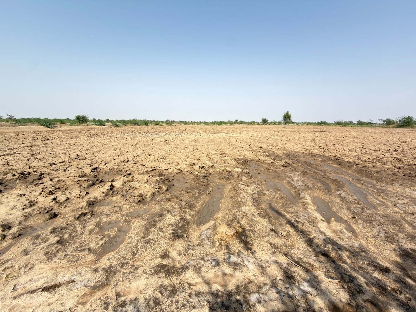 Land in जडावता, दूदू — photograph 2