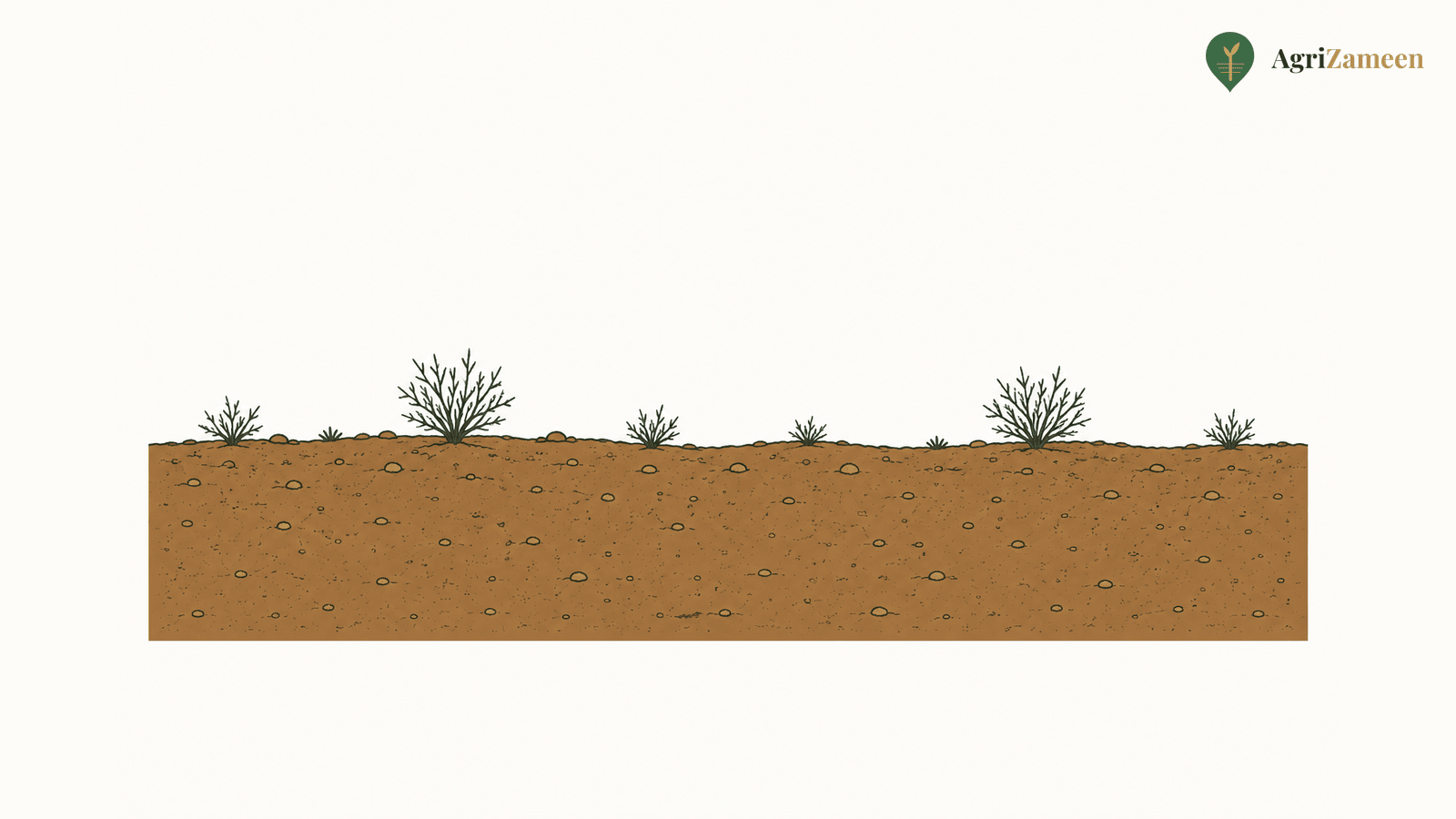 Diagram of banjar uncultivated land — bare soil with sparse scrub, no crops and no water source