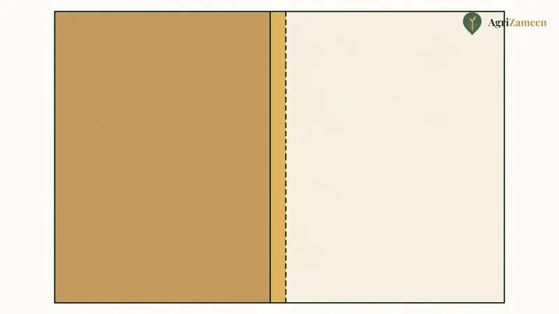 A boundary line in dispute between two plots