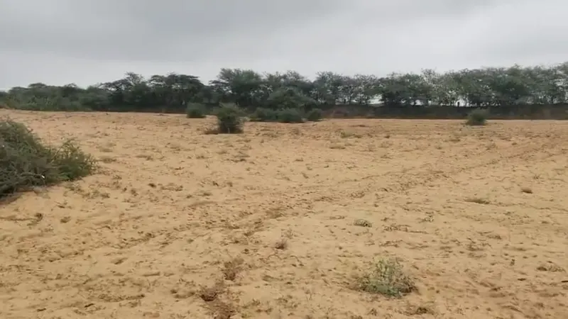 Open dry farmland in the belt