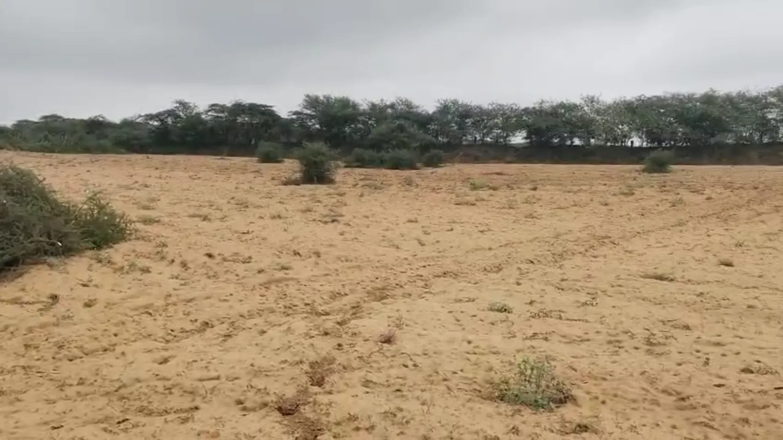 A ploughed field in the western Jaipur belt