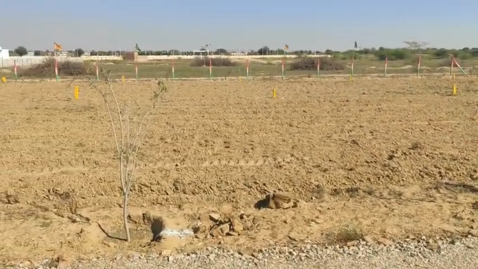 A fenced agricultural plot beside a road