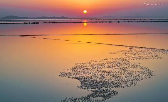 Sambhar Lake Tourism
